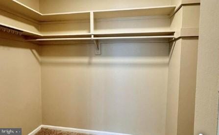 view of walk in closet