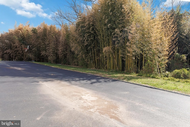 29 Pine Dr, Manchester, PA 17345 - view of asphalt road featuring a forest view
