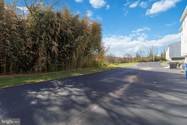 29 Pine Dr, Manchester, PA 17345 - view of asphalt street