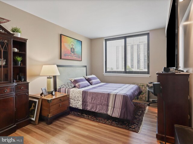5505 Seminary Rd Unit 605N, Falls Church, VA 22041 - bedroom with light wood-style floors