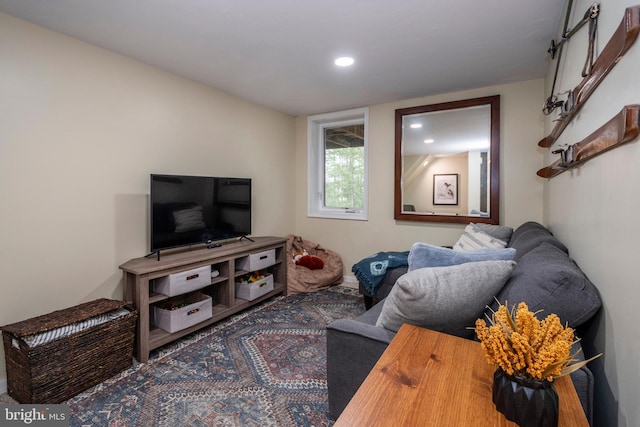 16 Jrs Dr, Mc Henry, MD 21541 - living area with recessed lighting