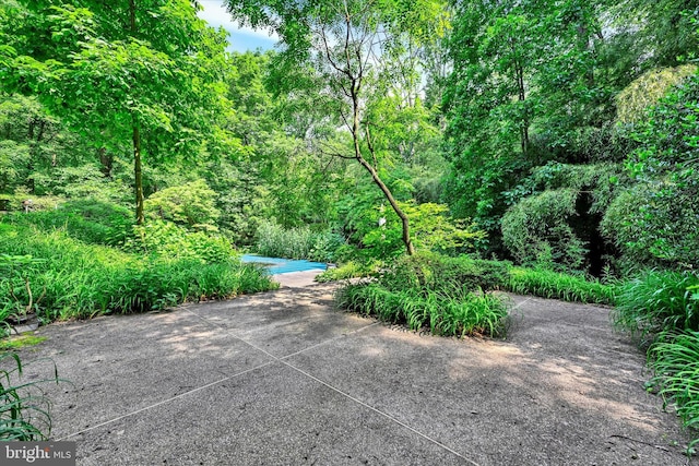 1408 Margarette Ave, Baltimore, MD 21286 - view of patio / terrace featuring a view of trees