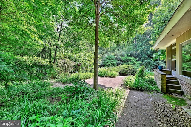 1408 Margarette Ave, Baltimore, MD 21286 - view of yard