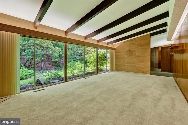 1408 Margarette Ave, Baltimore, MD 21286 - unfurnished living room featuring wooden walls and carpet flooring