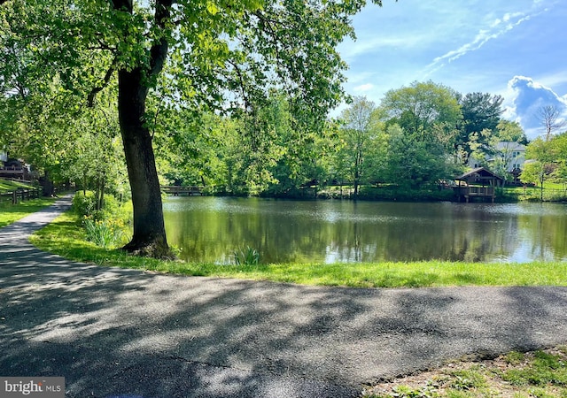 property view of water