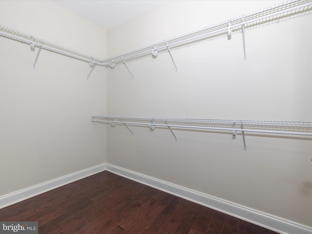 spacious closet with dark wood finished floors