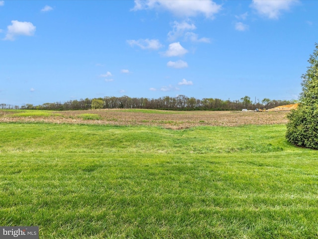 view of yard featuring a rural view