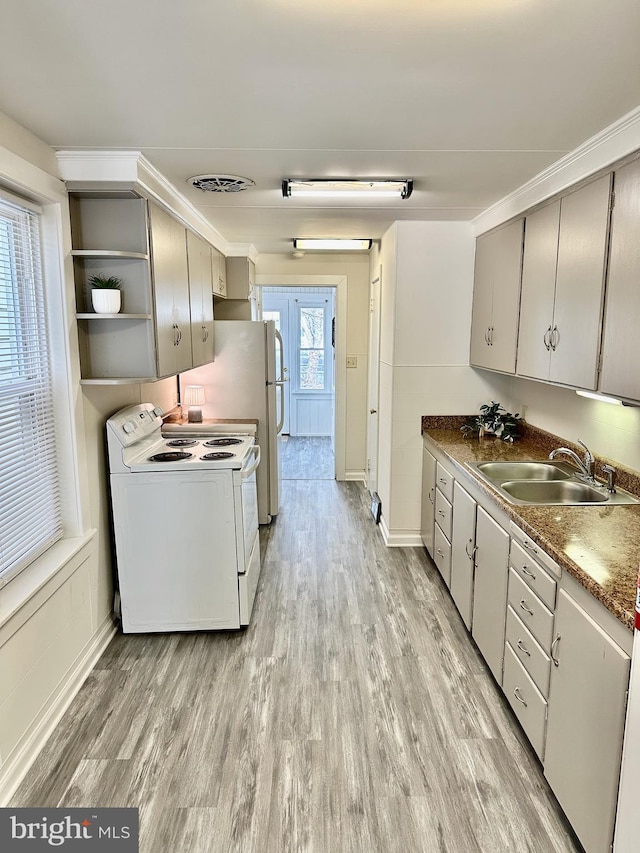 kitchen featuring a sink, gray cabinets, light wood-type flooring, and electric range