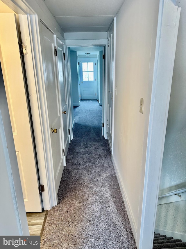 hall with carpet flooring