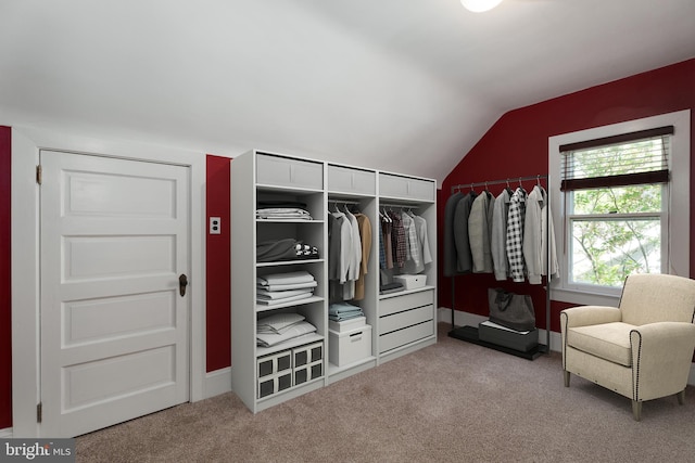 view of closet