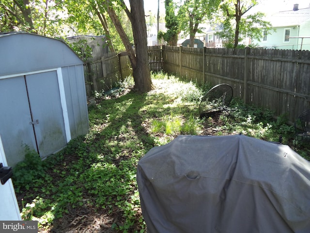 view of yard with a fenced backyard, a storage unit, and an outbuilding