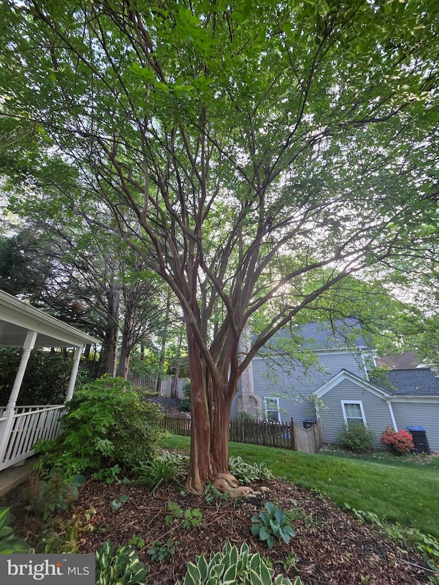 4501 Peppermill Ct, Dumfries, VA 22025 - view of yard
