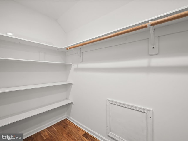 walk in closet featuring dark wood-style floors