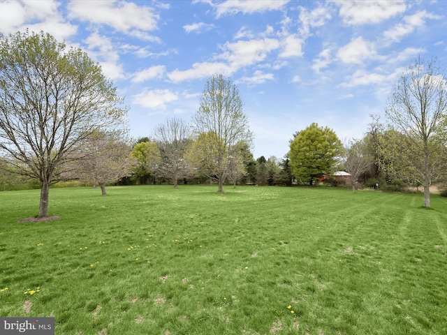 view of yard
