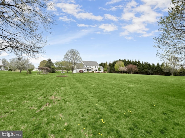 view of yard