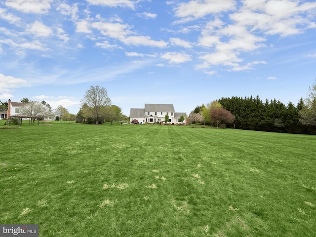 view of yard