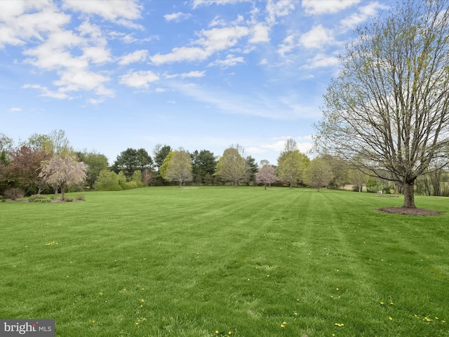 view of yard