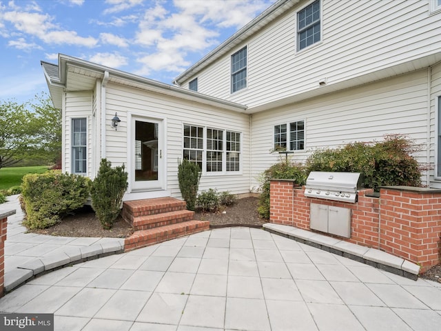 back of property with a patio and exterior kitchen