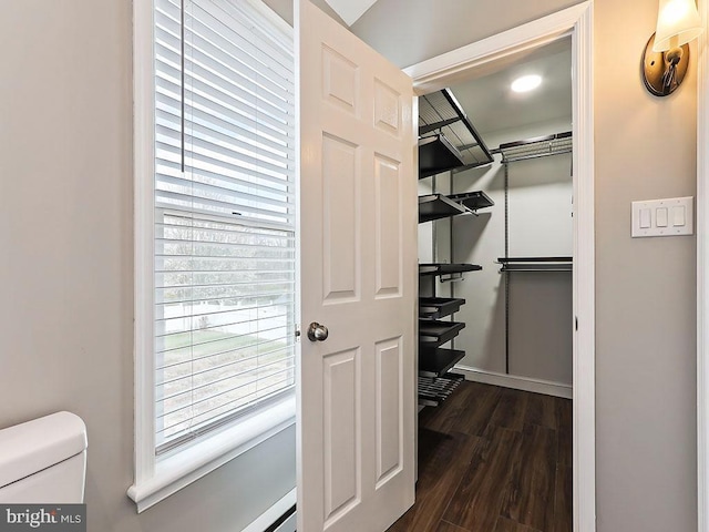 walk in closet with dark wood-style floors