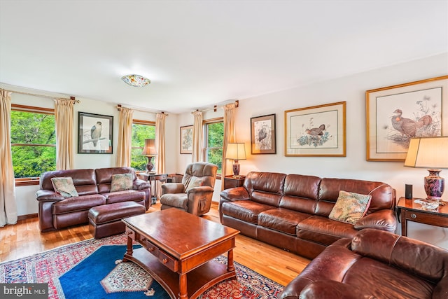 living room featuring hardwood / wood-style flooring