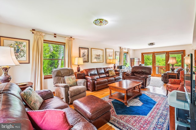 living area featuring plenty of natural light and wood finished floors