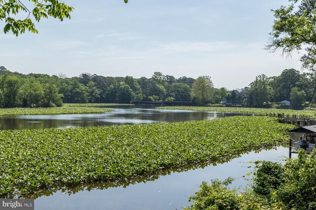 5464 Cherry Hill Ln, Salisbury, MD 21801 - water view