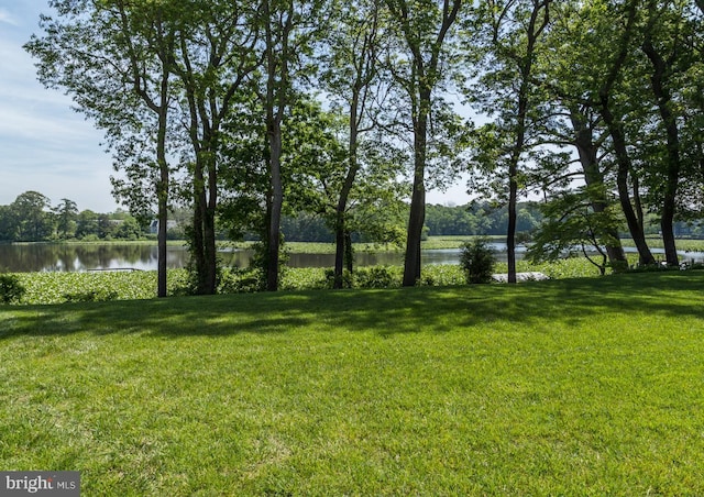 5464 Cherry Hill Ln, Salisbury, MD 21801 - view of green lawn with a water view