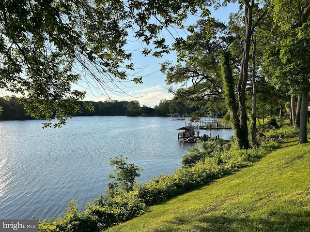 5464 Cherry Hill Ln, Salisbury, MD 21801 - water view with a dock