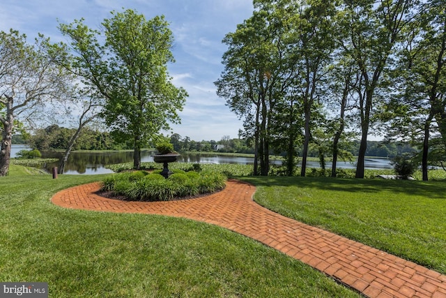 5464 Cherry Hill Ln, Salisbury, MD 21801 - view of community with a yard and a water view