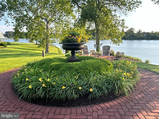5464 Cherry Hill Ln, Salisbury, MD 21801 - view of property's community featuring a yard and a water view