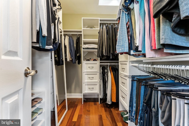spacious closet featuring dark wood finished floors