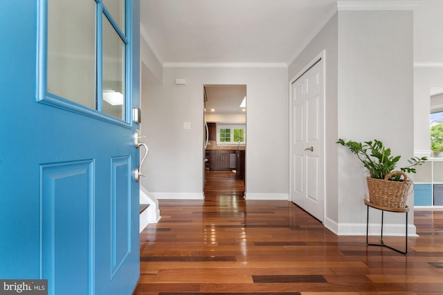 foyer with wood-type flooring, plenty of natural light, crown molding, and baseboards