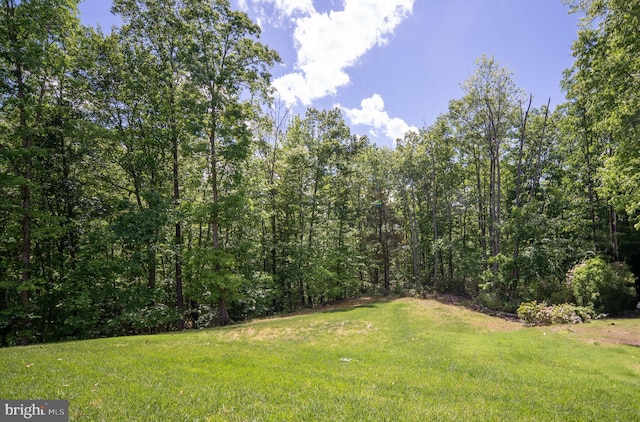 187 Verbena Dr, Stafford, VA 22554 - view of grassy yard