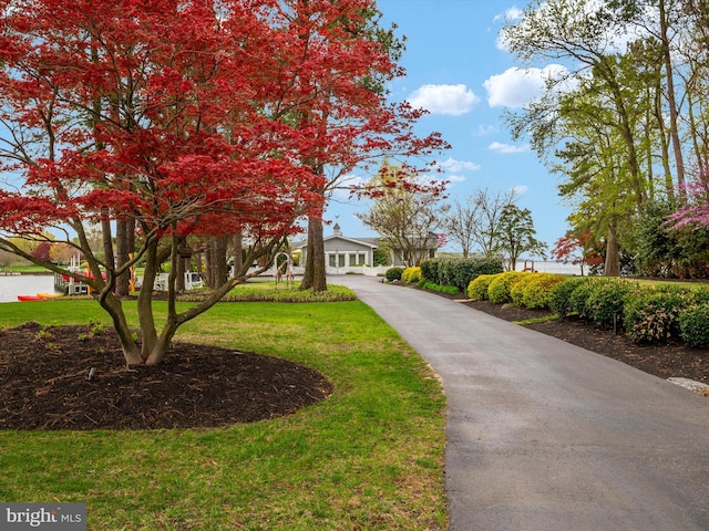 view of front of home featuring driveway and a front lawn