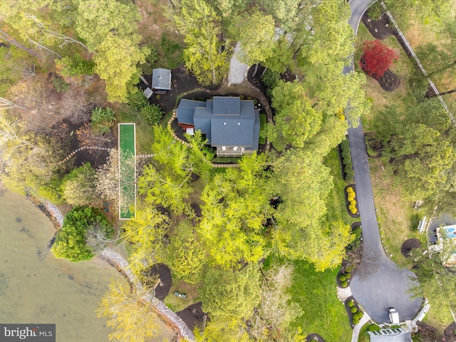 bird's eye view