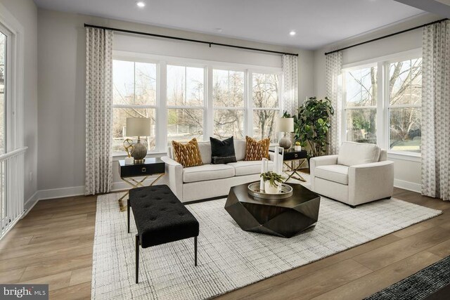 living area featuring plenty of natural light, baseboards, and wood finished floors