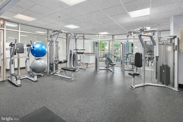 1276 N Wayne St Unit 408, Arlington, VA 22201 - exercise room featuring a wall of windows and a drop ceiling