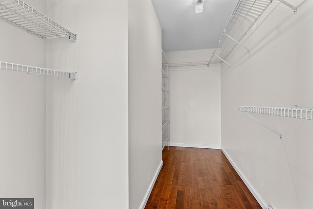878 Buttermilk Ct, Harrisburg, PA 17111 - walk in closet featuring wood finished floors