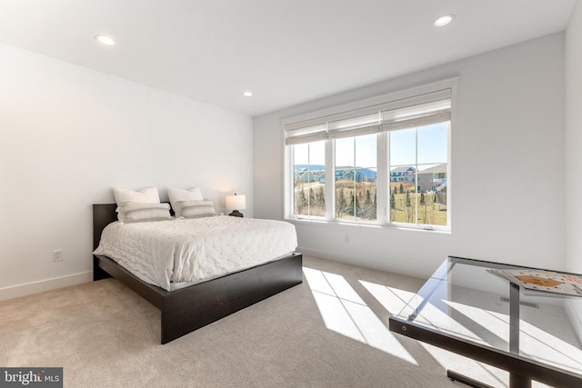 330 Trout Rd, State College, PA 16801 - bedroom with light carpet, baseboards, and recessed lighting