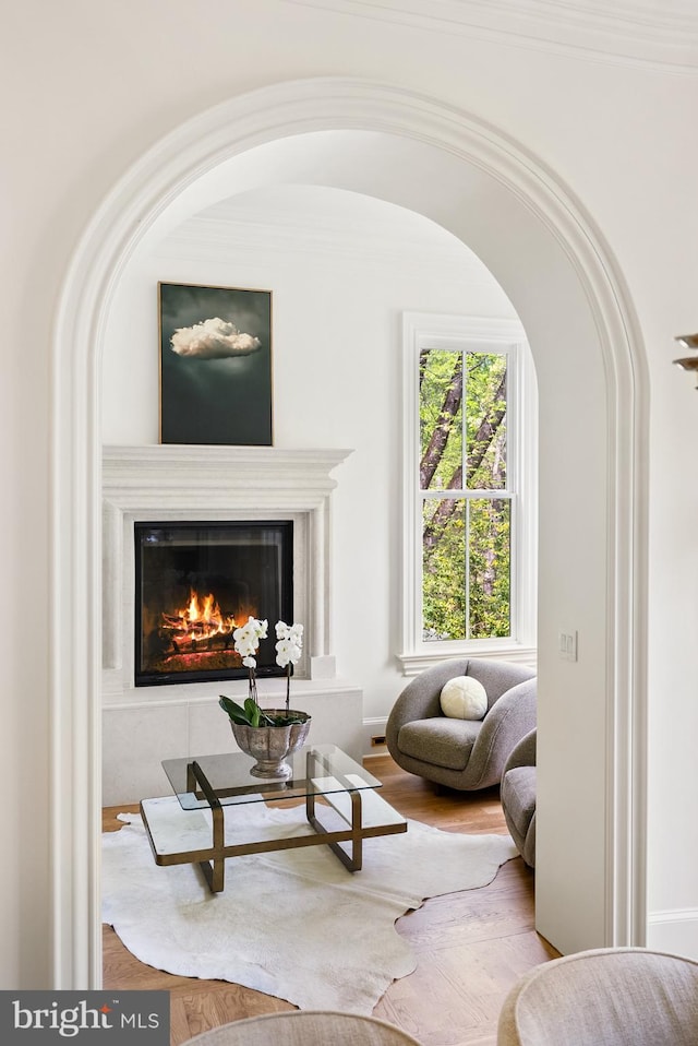 827 Turkey Run Rd, Mclean, VA 22101 - sitting room featuring wood finished floors, a glass covered fireplace, and arched walkways