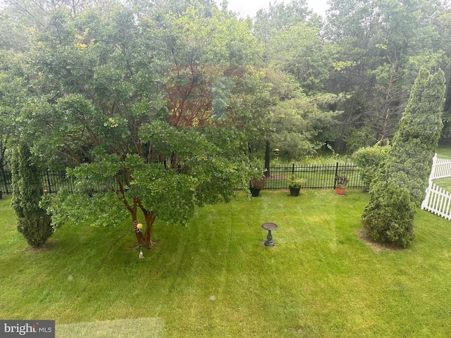 8219 Selwin Ct, Baltimore, MD 21237 - view of yard