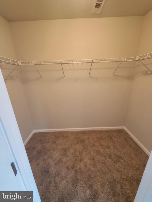 spacious closet featuring carpet floors and visible vents