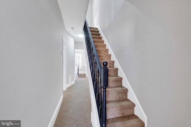 stairs with baseboards and carpet