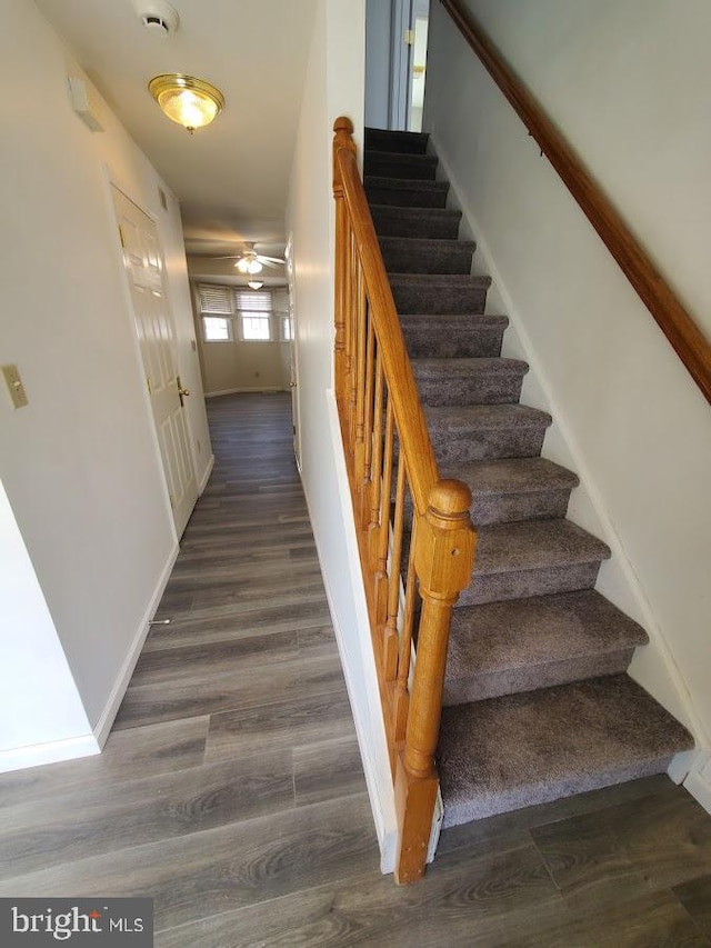 staircase featuring a ceiling fan, baseboards, and wood finished floors