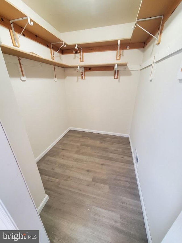 spacious closet featuring wood finished floors