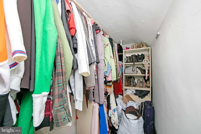 spacious closet with vaulted ceiling