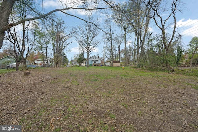view of yard