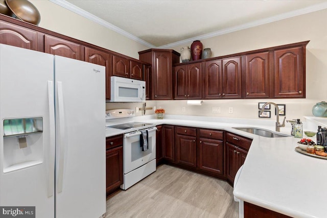 13113 Little Hayden Cir Unit 87, Hagerstown, MD 21742 - kitchen with crown molding, white appliances, light countertops, a sink, and light wood finished floors
