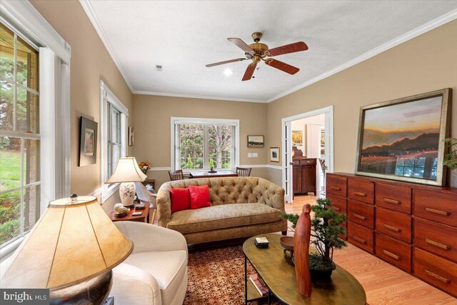 13113 Little Hayden Cir Unit 87, Hagerstown, MD 21742 - living room with ornamental molding, light wood-type flooring, visible vents, and a ceiling fan