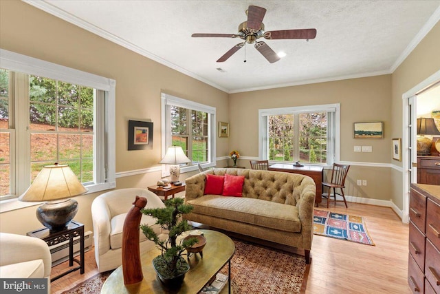 13113 Little Hayden Cir Unit 87, Hagerstown, MD 21742 - living room featuring light wood-style flooring, a healthy amount of sunlight, ornamental molding, and a ceiling fan